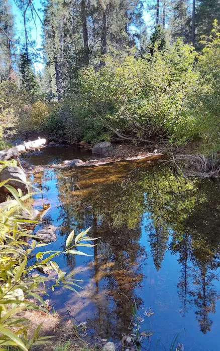 Salmon Creek Campground Picture 10