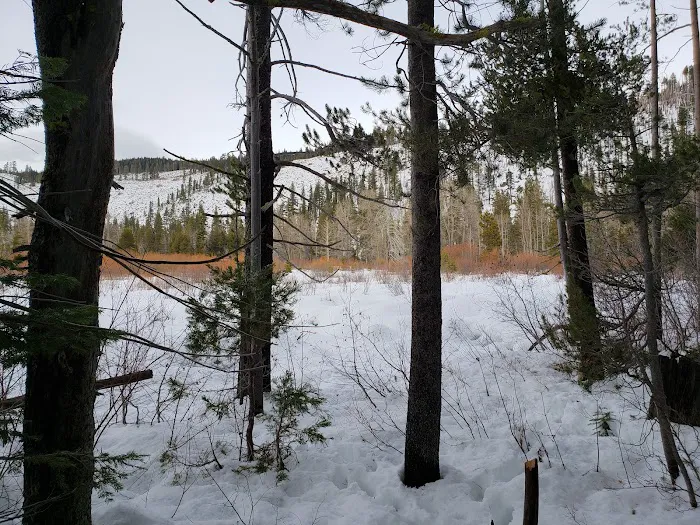 Salmon Creek Campground Picture 8