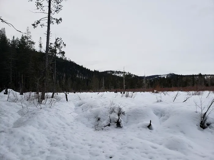 Salmon Creek Campground Picture 4