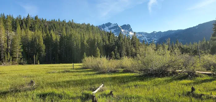 Sardine Campground Picture 5