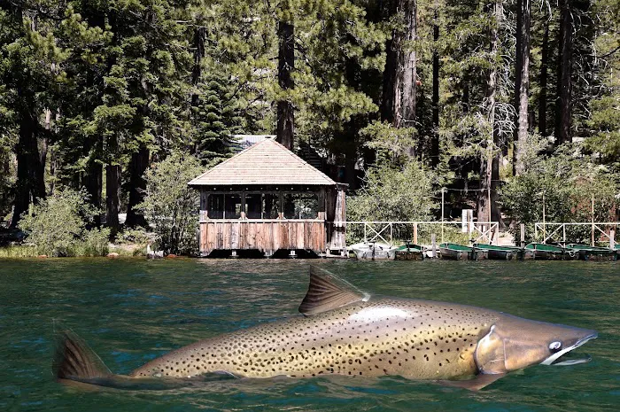 Sardine Campground Picture 3