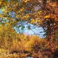 Chico Creek Mobile Home Estates ico