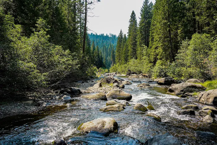 Mill Creek Campground Picture 8