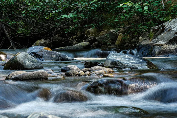Mill Creek Campground Picture 7