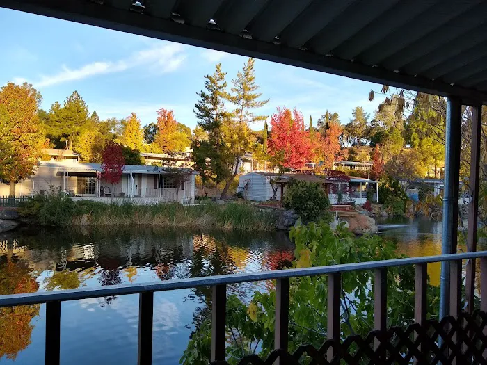 Castle City Mobile Home Community Picture 2