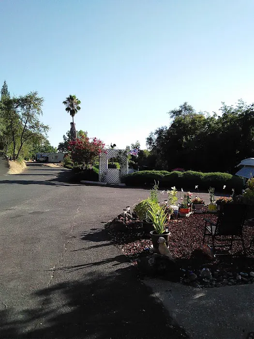 Castle City Mobile Home Community Picture 3