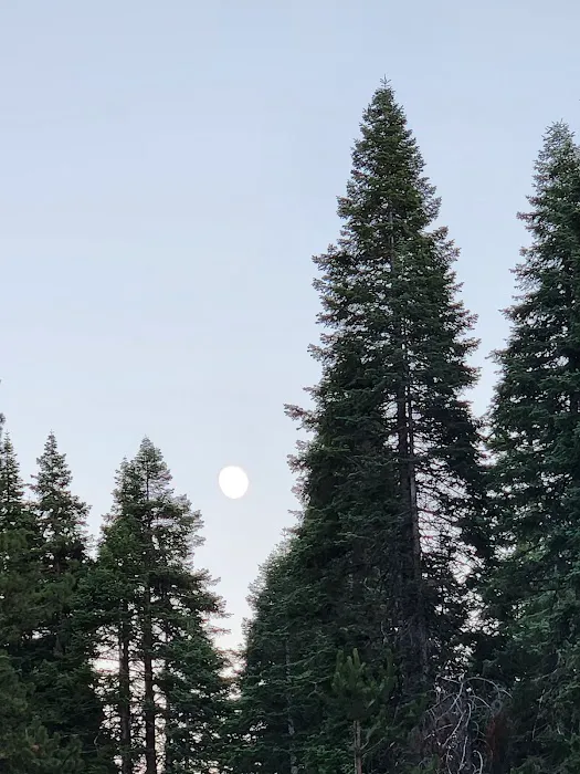 Gurnsey Creek Campground Picture 7