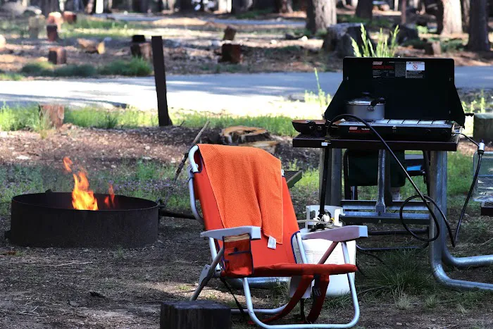 Gurnsey Creek Campground Picture 3