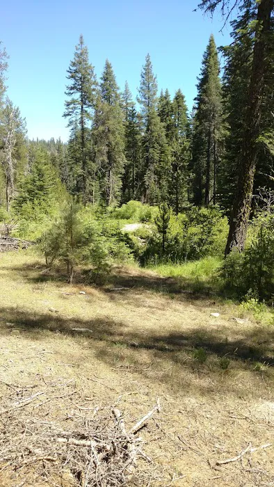 Gurnsey Creek Campground Picture 6