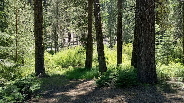 Gurnsey Creek Campground Picture 2