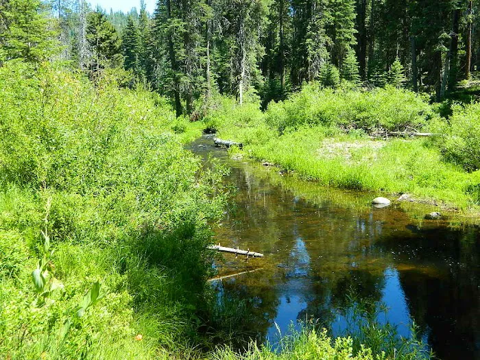 Gurnsey Creek Campground Picture 5