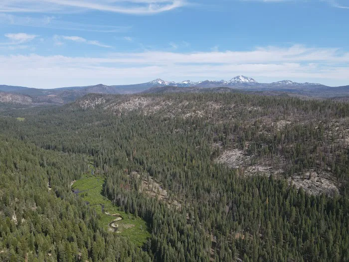 Gurnsey Creek Campground Picture 4