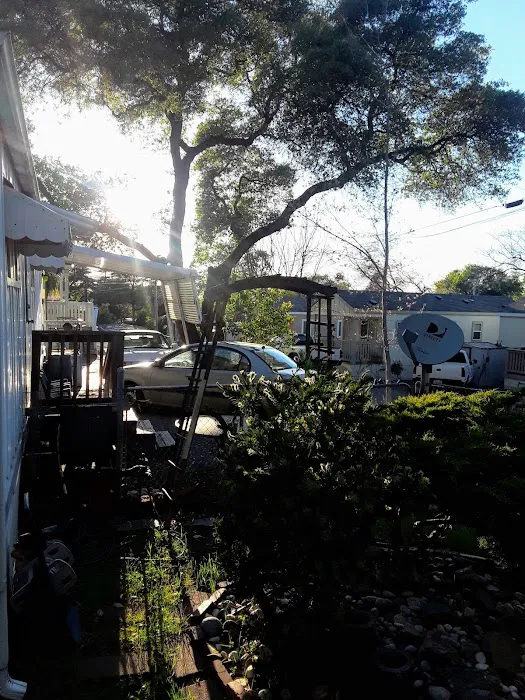Auburn Mobile Home Village Picture 5