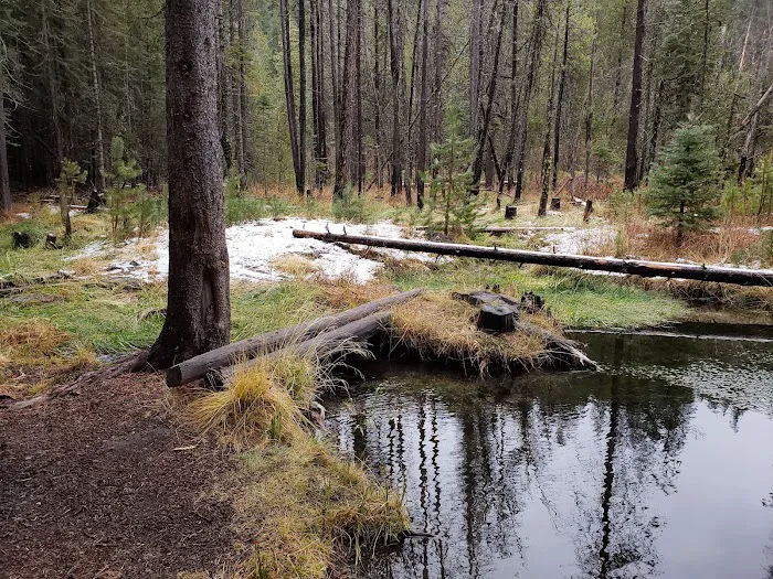 Willow Spring Campground Picture 10