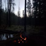 Willow Spring Campground