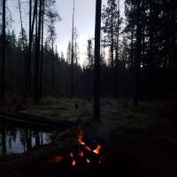 Willow Spring Campground ico