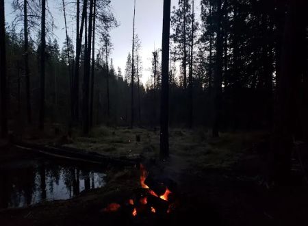Willow Spring Campground