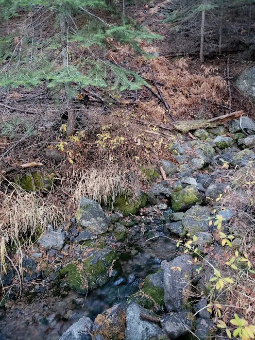 Willow Spring Campground Picture 8