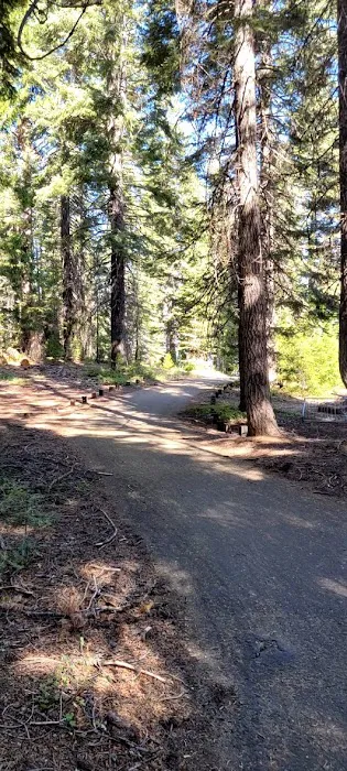 Almanor Campgrounds Picture 5