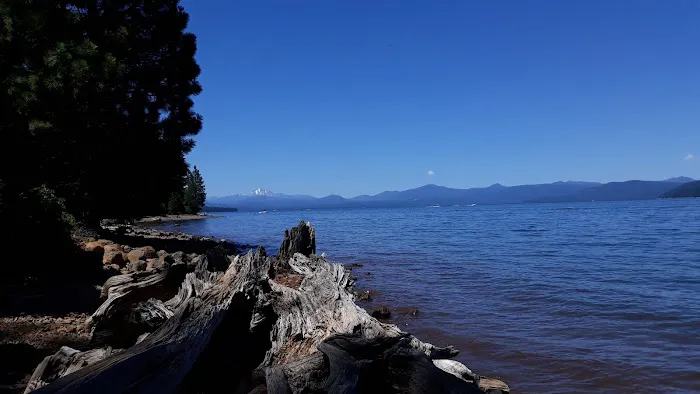Almanor Campgrounds Picture 4
