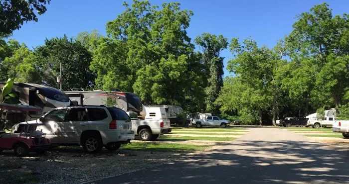 Jones Creek RV Park & Campgrounds Picture 6