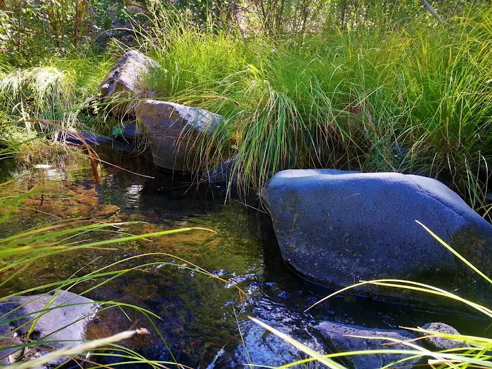 Almanor Ranger District Picture 5