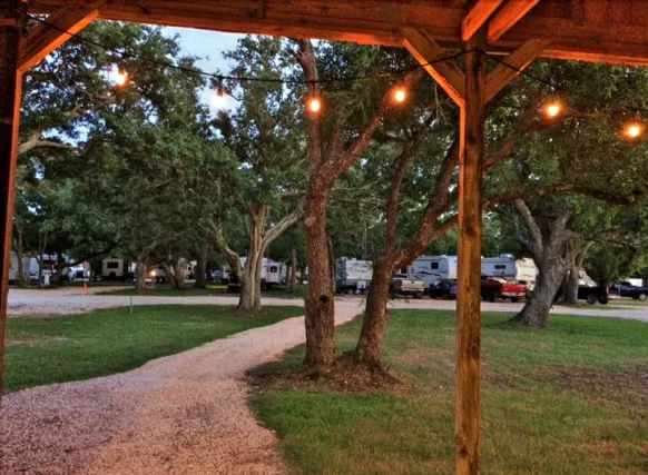 Live Oak RV Park Picture 1