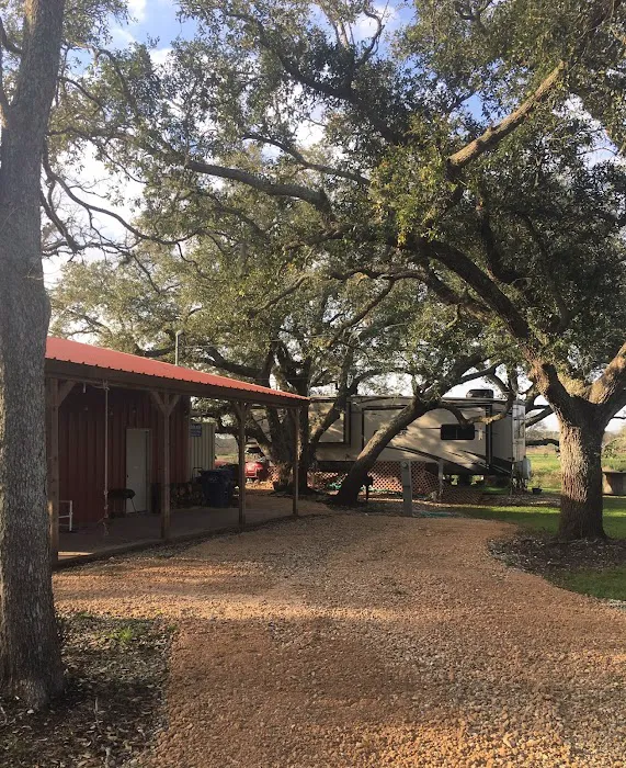 Live Oak RV Park Picture 8