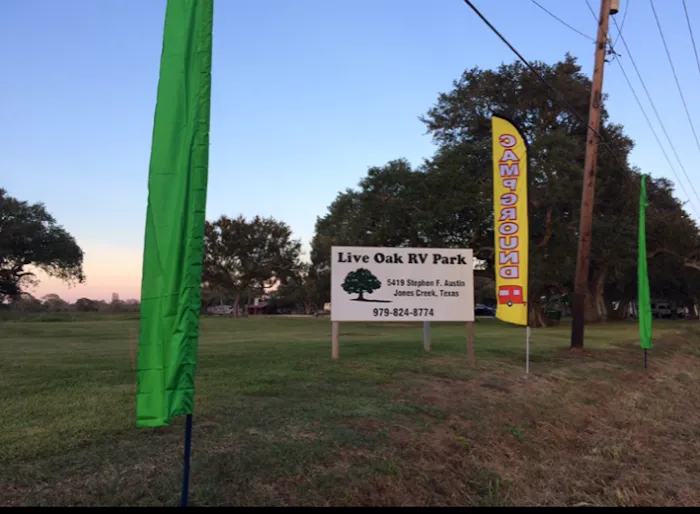 Live Oak RV Park Picture 10