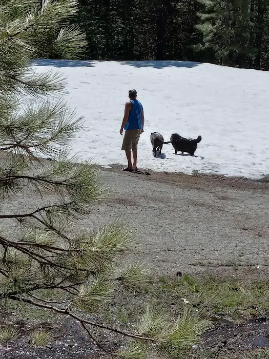 Battle Creek Campground Picture 4
