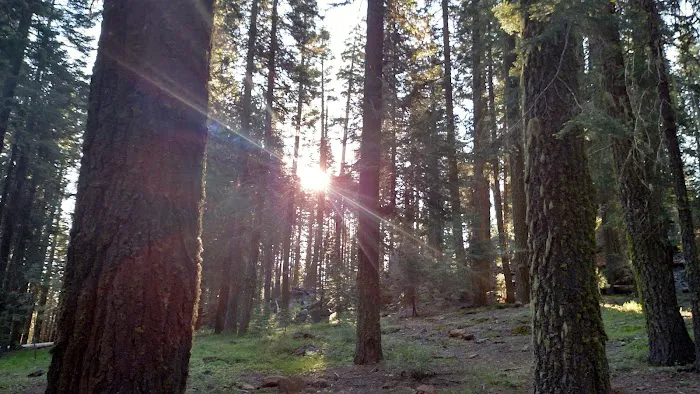 Battle Creek Campground Picture 3