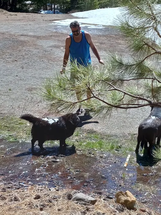 Battle Creek Campground Picture 8
