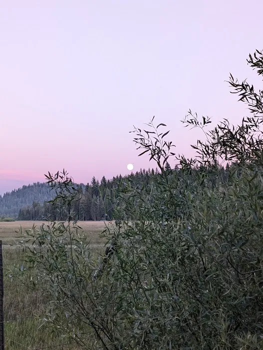 Mt. Lassen Camp (AG) Picture 10