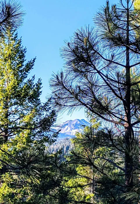 Mt. Lassen Camp (AG) Picture 7