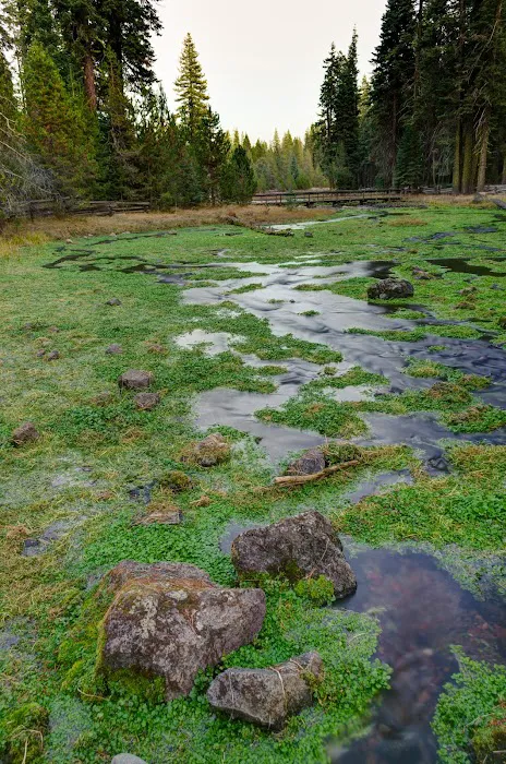 Domingo Spring Campground Picture 3