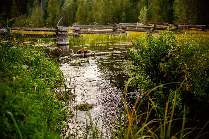 Domingo Spring Campground Picture 1