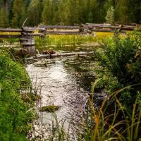 Domingo Spring Campground ico