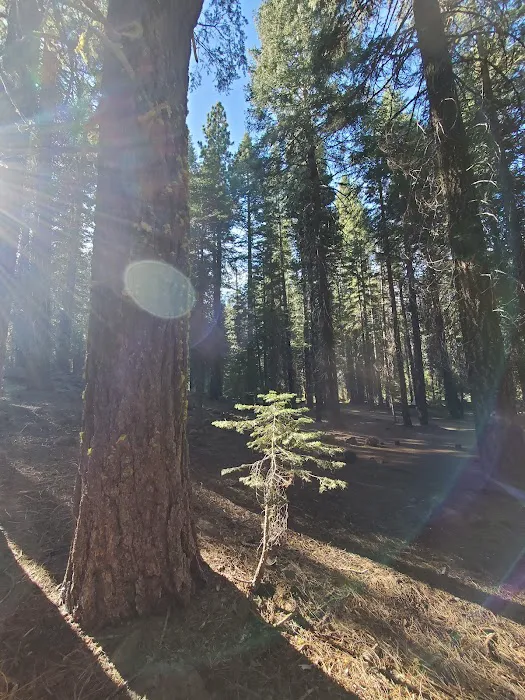 Domingo Spring Campground Picture 4
