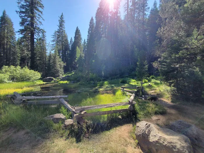 Domingo Spring Campground Picture 5