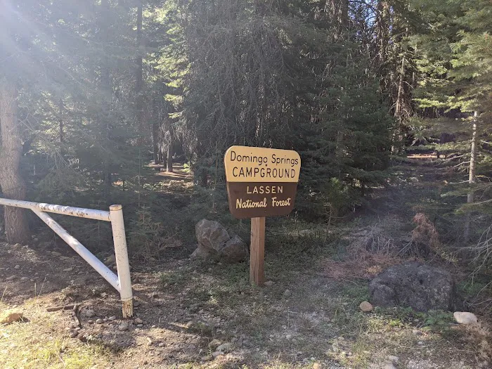 Domingo Spring Campground Picture 8