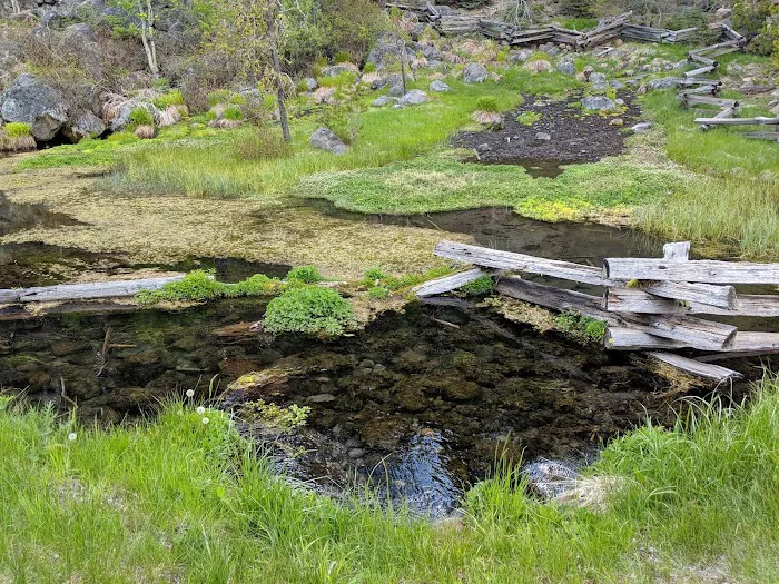 Domingo Spring Campground Picture 9