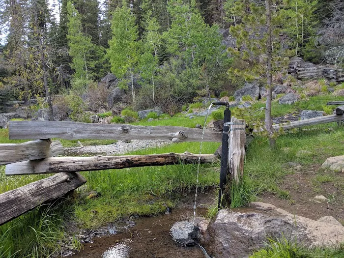 Domingo Spring Campground Picture 10
