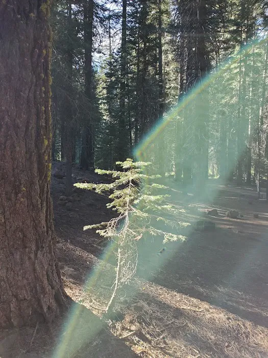 Domingo Spring Campground Picture 2