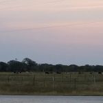 Evergreen RV Park