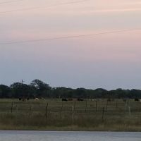 Evergreen RV Park ico