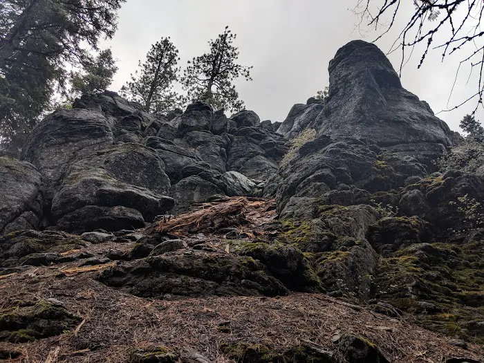High Bridge Campground Picture 9