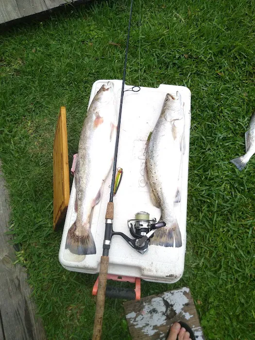 Fish Camp RV Park Picture 10