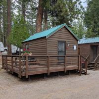 Camp Almanor at Big Springs ico