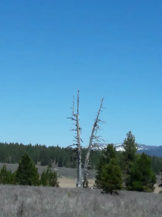 Prosser Ranch Group Campground Picture 1