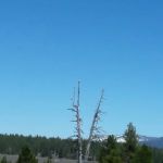 Prosser Ranch Group Campground